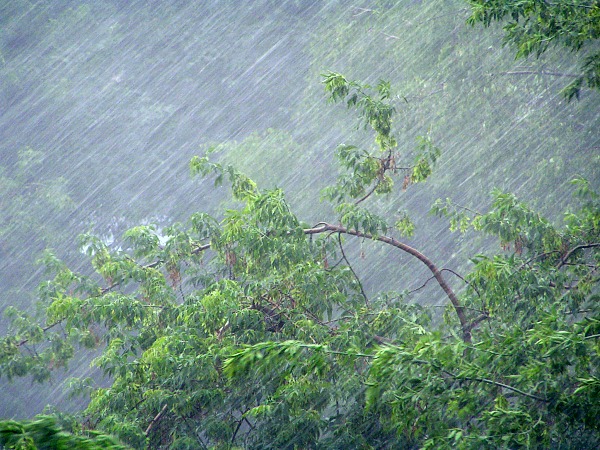 Гидрометцентр пообещал орловцам сильный дождь