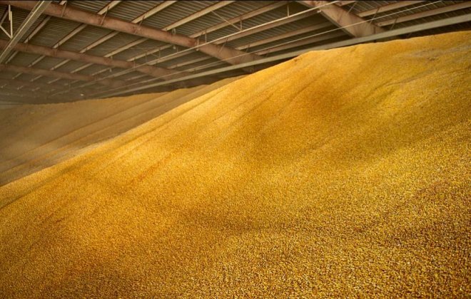 Тысячи тонн недостоверного зерна нашли на Орловщине
