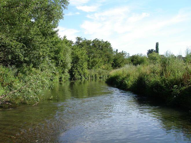 В Орловской области была спасена женщина, тонувшая в реке