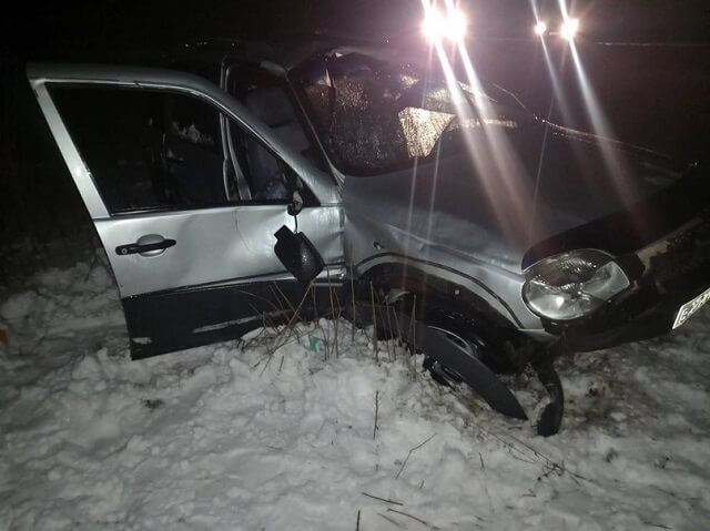 В Орловской области в перевернувшейся Ниве скончался водитель