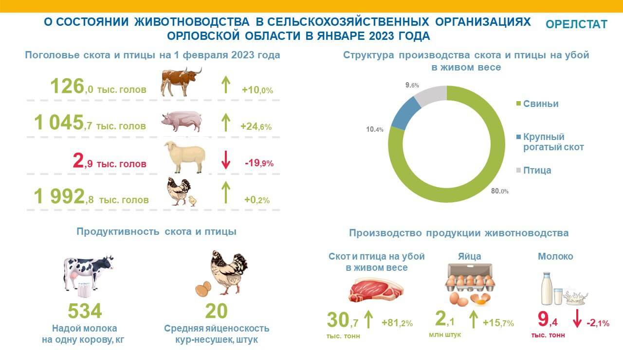 Орловщина почти в 2 раза нарастила производство мяса