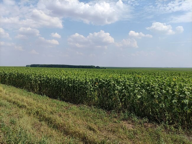 В Орловской области ввели в оборот 2,2 тыс га сельхозземель