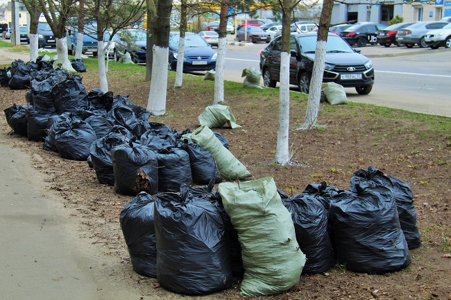 В Орле завышали цены на вывоз мусора с субботников