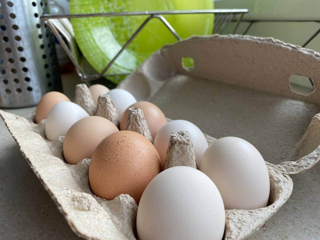 Производство яиц сократилось в Орловской области