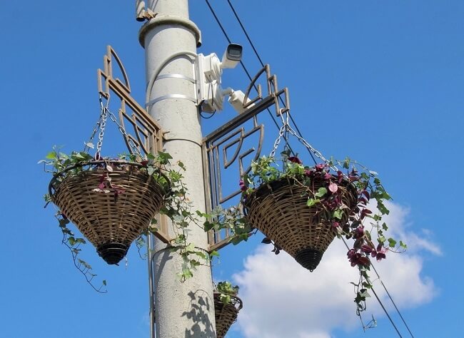 Орловские мосты украсили цветами