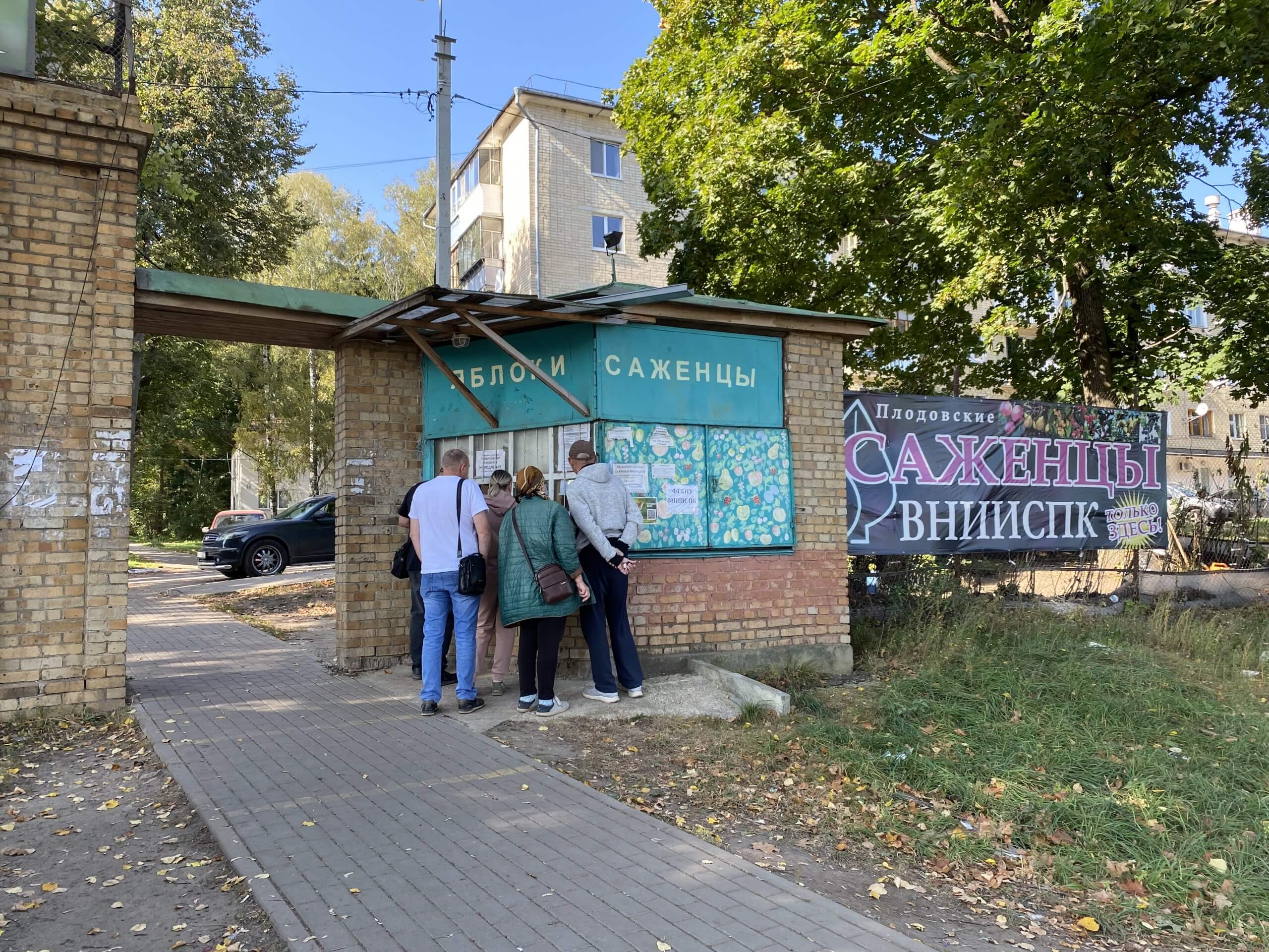 Почти половина орловских саженцев не вписалась в нормы | 07.06.2024 | Орел  - БезФормата