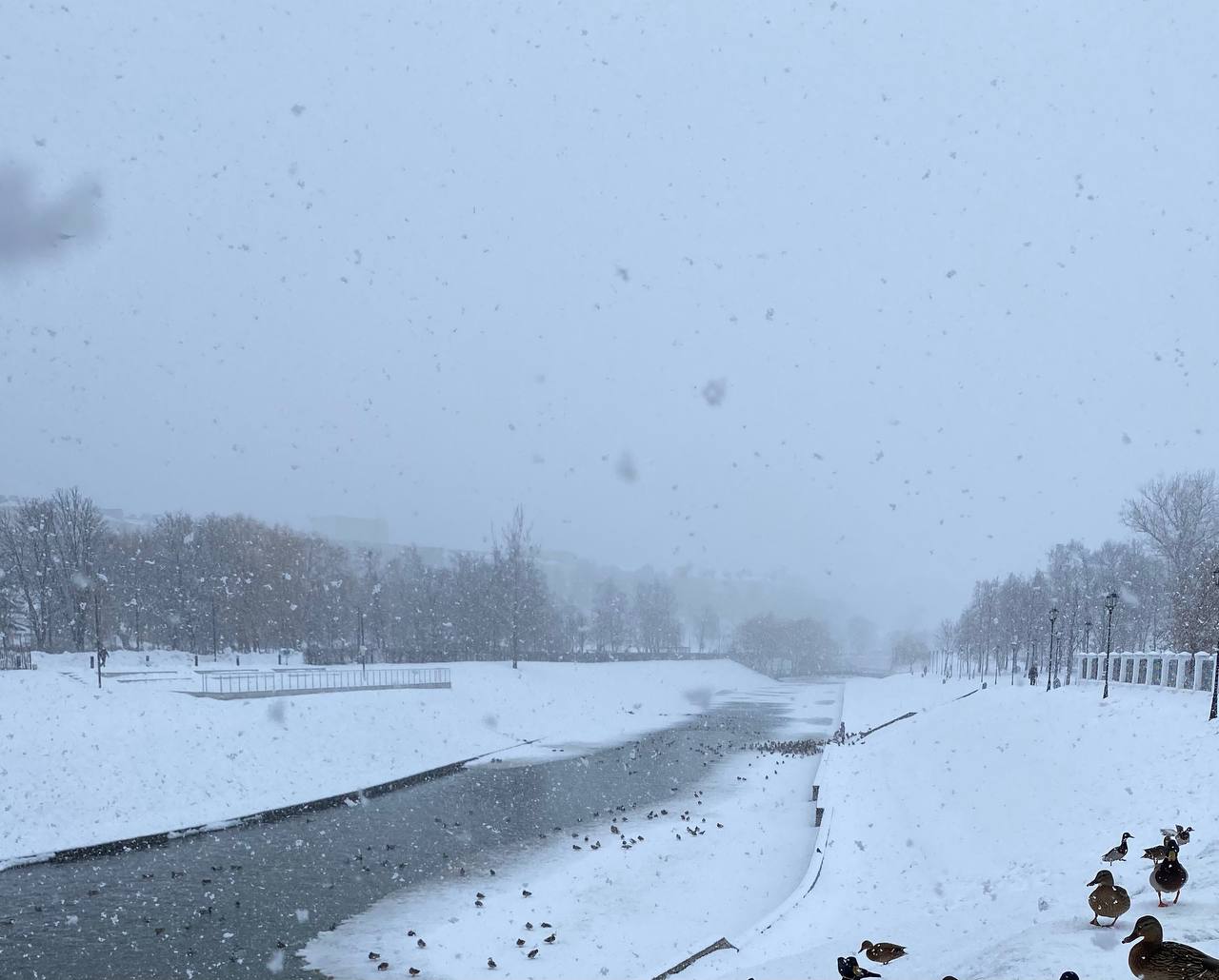 МЧС предупреждает о снегопаде и усилении ветра