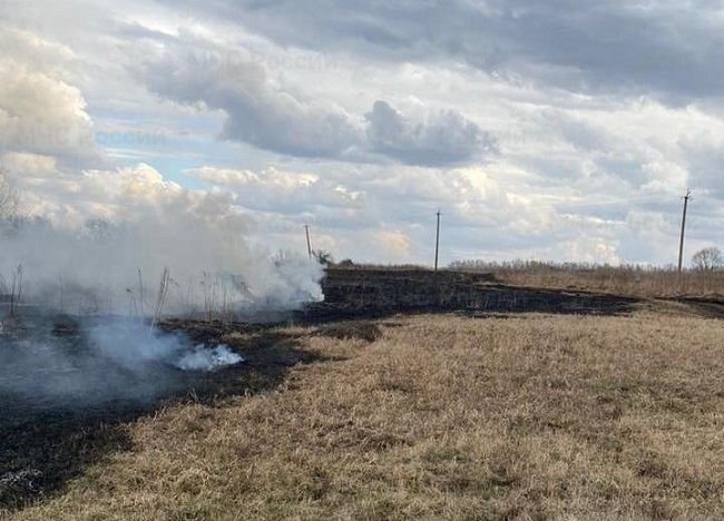 На Орловщине впервые в этом году горела сухая трава