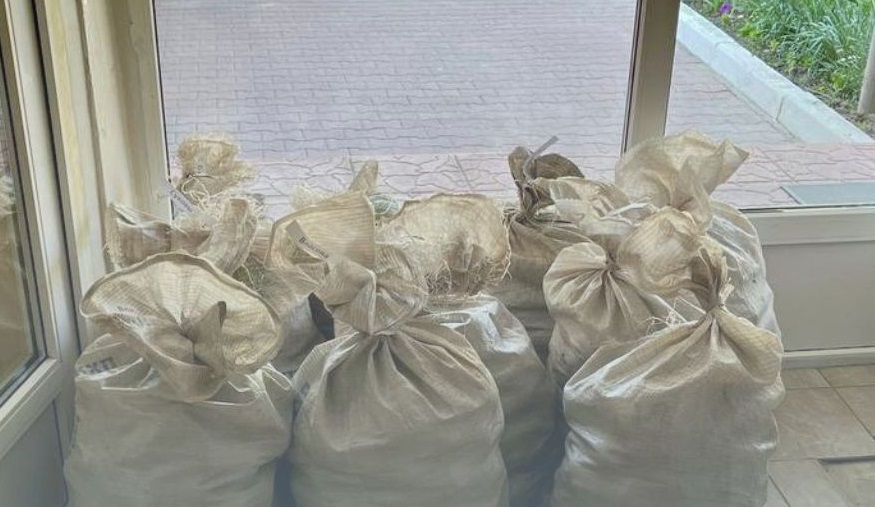 Орловчанка передала семьям участников СВО 10 мешков картофеля