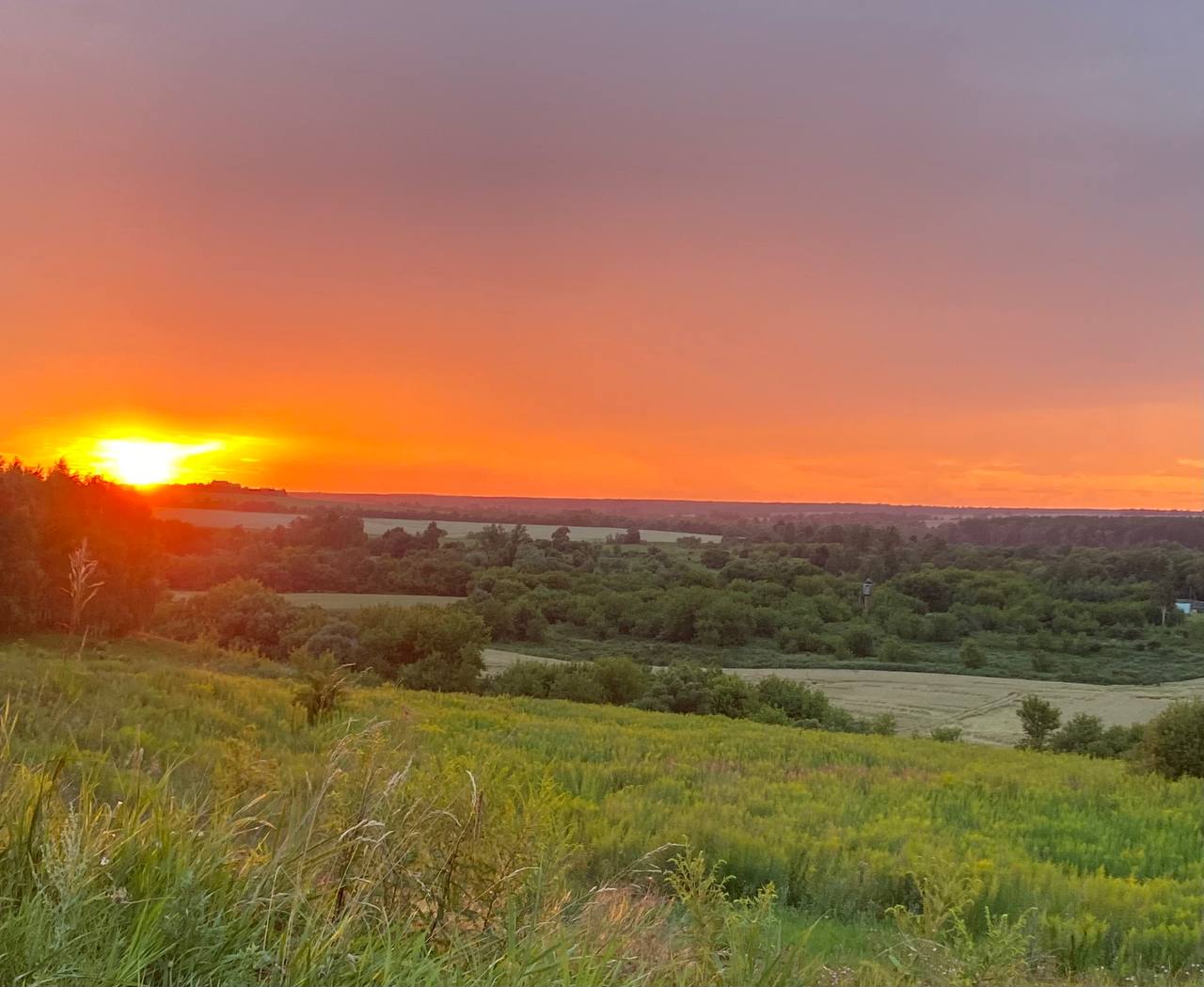 В Орловской области сельхозземли отдадут под промышленность