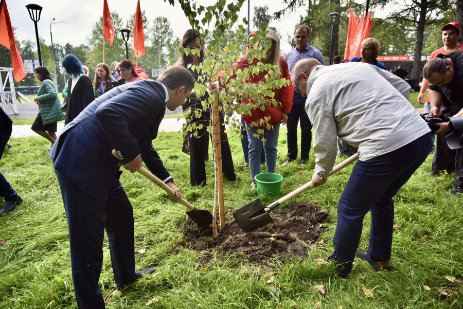 В Орле в парке Победы посадили 30 деревьев
