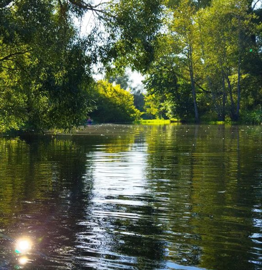 На Орловщине истребовали в госсобственность землю у реки