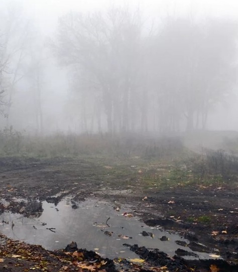 В АПК Орловской области введён режим ЧС