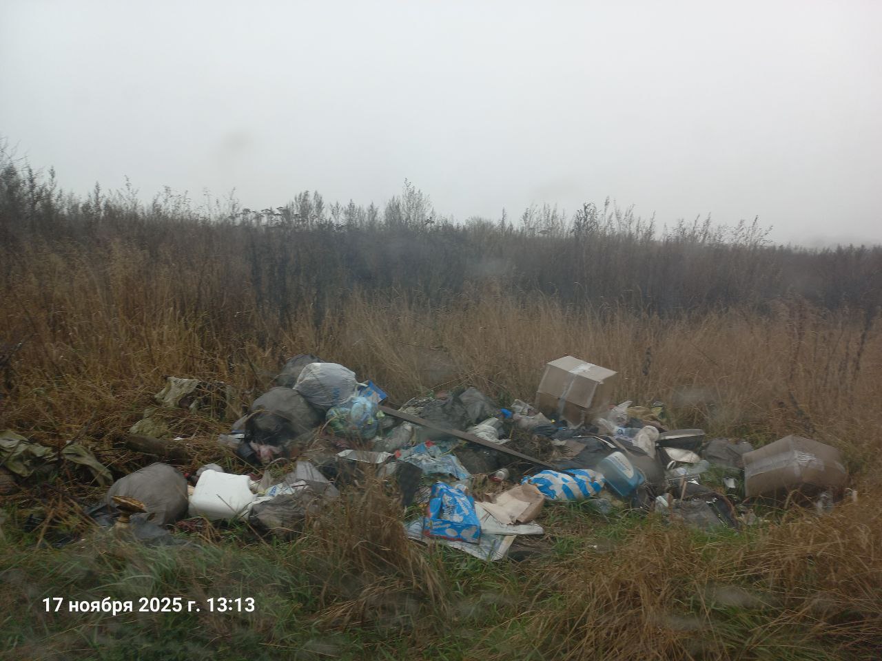 Двойные стандарты Звезды: жители требуют закон, а мусор выбрасывают в овраг