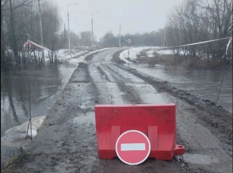 В Орловской области подтоплены десять мостов