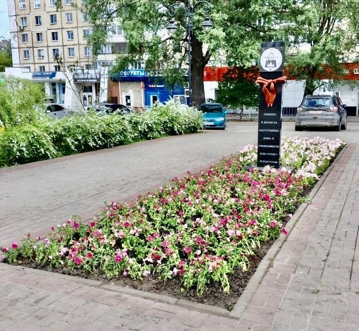 В сквере Орлята высадили 2,3 тысячи петуний